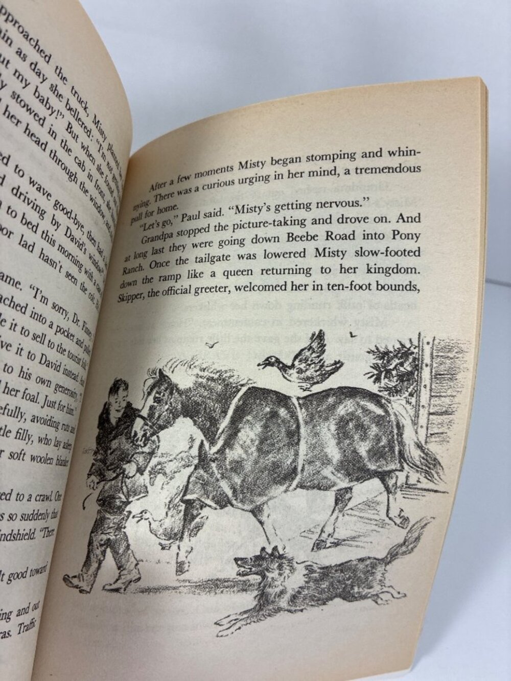 Vintage Marguerite Henry Horse Books Lot of 5 Aladdin Paperbacks 1991-1993 - Picture 13 of 13